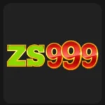 zs999-game-logo